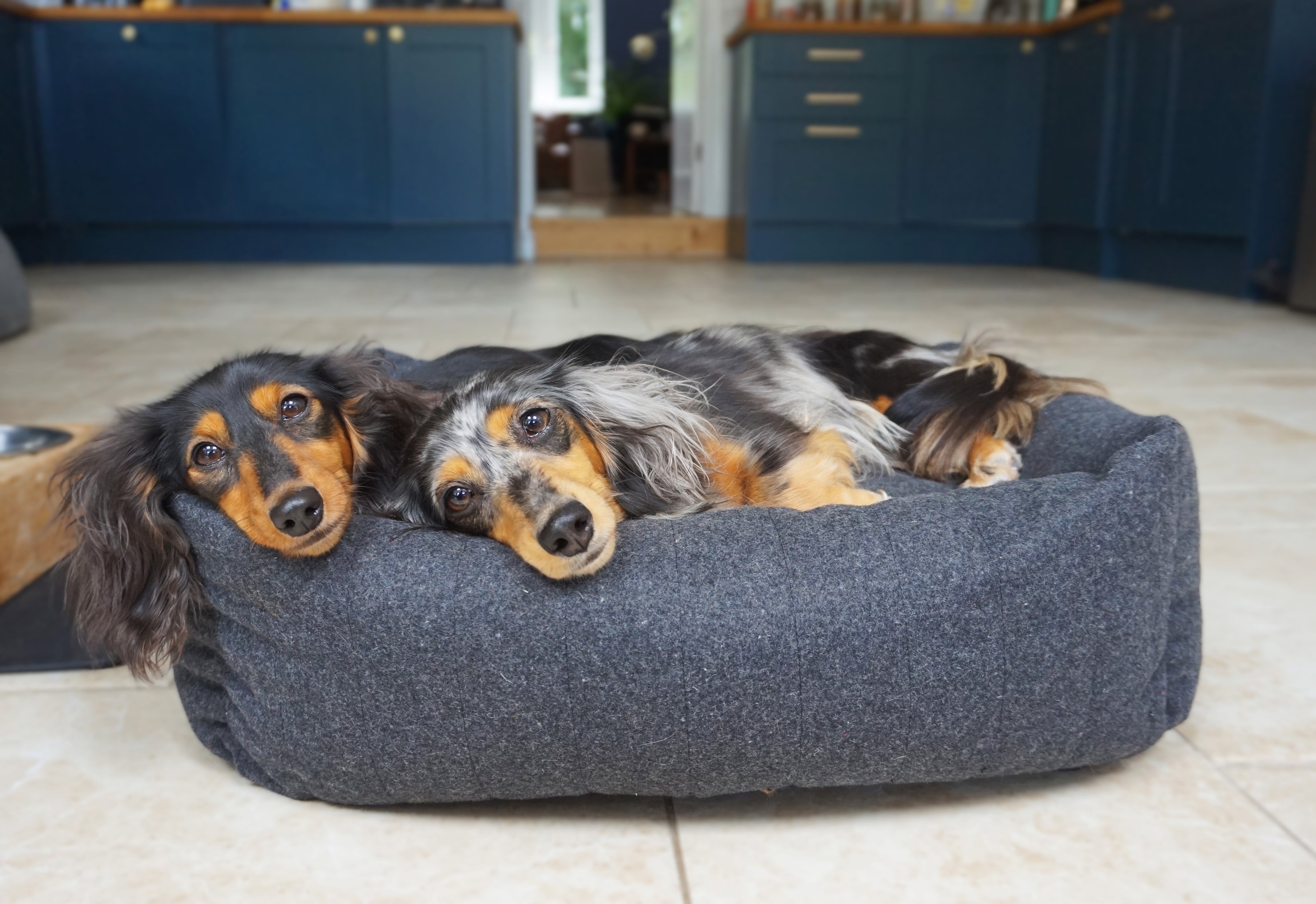 Catalogue Rosewood Pet Products Spare Parts